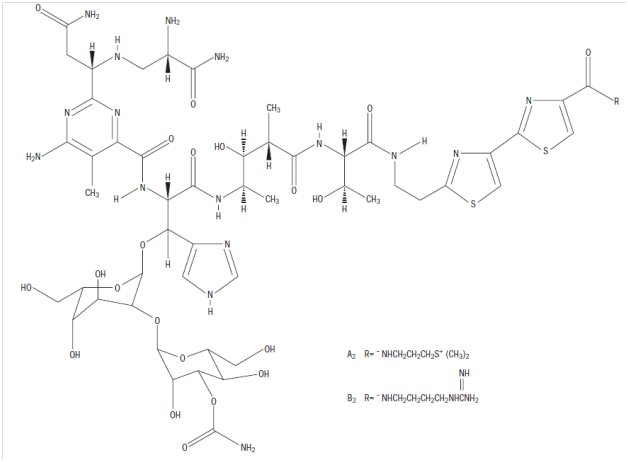 Bleomycin Sulfate